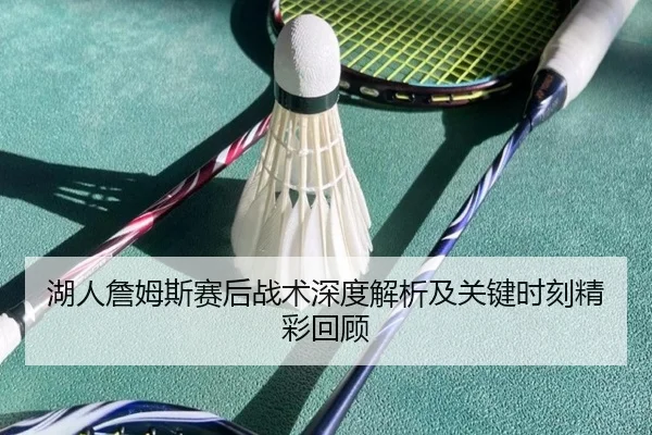 湖人詹姆斯赛后战术深度解析及关键时刻精彩回顾